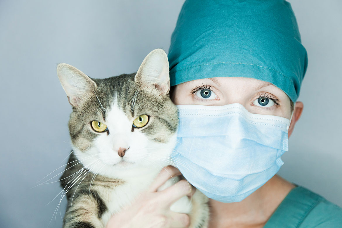 veterinary-doc/05.jpg