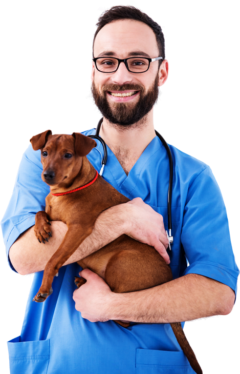 veterinary-doc/man.png